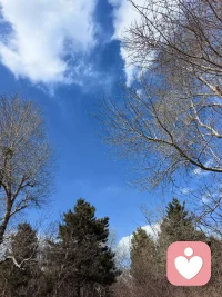 我感觉到那叽叽喳喳的叫声是它们在跟我打招呼，我赶紧掏出手机，拍下来，大自然的小伙伴，你看到了吗？配图