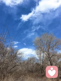 允许一切发生，是学着松开那根紧绷的弦。赏赏花，望望天，笑一笑。配图