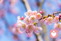 生活不简单，但我们可以简单过。配图