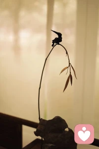 接纳生活的不确定，
人生本就难圆满，
接纳高低起伏，心方自在。配图