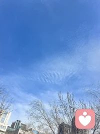 亲爱的朋友，不要慌，不要慌，太阳落了，还有月光。天会晴，雨会停，心怀希望，必有远方；心怀勇气，必有光明配图