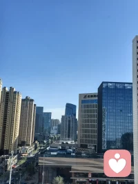 坐在窗前，沐浴晴空万里的阳光，看远处见片片的绿色，还有路上的车水马龙，岁月一片静好。