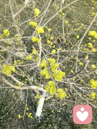 坐在窗前，沐浴晴空万里的阳光，看远处见片片的绿色，还有路上的车水马龙，岁月一片静好。