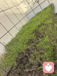 坐在窗前，沐浴晴空万里的阳光，看远处见片片的绿色，还有路上的车水马龙，岁月一片静好。