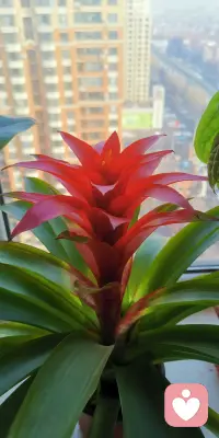 生活无关他人，只有你是自己人生的主角，与其取悦别人，不如好好爱自己，活成自己喜欢的样子，就是最好的人生。配图