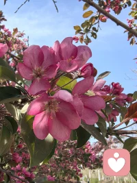 当你不再执着于任何一段关系，困住你的局，自然就破了。不再强求谁留下，不再勉强谁理解，心一松，万事皆顺。配图