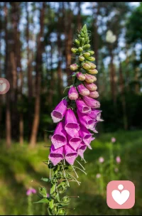 就算你有些内疚内耗的情绪，那也不可怕，我们要学会与他们和解，承认自己这个时候的确不够完美，然后依然选择站在自己这边。
只有当你全然接受自己的时候，你才能改变自己。
你先接受这个不完美的自己，改变反而变得容易。
像对待好朋友一样对待自己，不随意评判，以包容的目光看待自己的瑕疵和失败。
爱自己，是一切美好的开端。配图