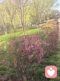 等待一朵花开，尚且需要时间；想做成一件事，也要经历一个过程。若是你想要的还没来，别泄气，别停下脚步，你不妨主动出击，掌握属于自己的节奏。配图