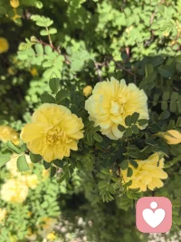 允许今天不快乐，
允许低谷存在，
允许自己只想躺着。
月亮也有阴晴圆缺，
你的心情也是。配图