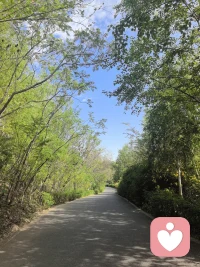 今天出来跑步在公园路边看到的一句话，分享与大家共勉
不必行色匆匆，不必成为别人，只需做自己就好。

感悟:
其实每一朵花，每颗绿植都有它独特的美，都有不可替代性。配图