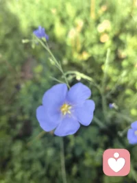 今天出来跑步在公园路边看到的一句话，分享与大家共勉
不必行色匆匆，不必成为别人，只需做自己就好。

感悟:
其实每一朵花，每颗绿植都有它独特的美，都有不可替代性。配图