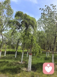 独一无二的自己，本就自带光芒。
你的人生，不需要所谓的“标准答案”，只需要忠于自己内心的答案。配图