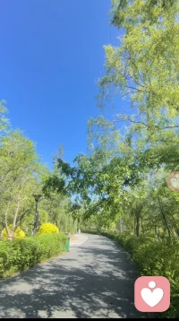 不必急于奔赴终点，只用心感受每一段当下，珍惜眼前，从容前行，愿时光温柔，给予十分偏爱。配图