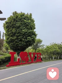 我们一起慢慢学会与自己温柔和解，不再为未知的明天过度焦虑，也不再为已逝的昨天反复内耗，只为当下的今天好好过，想做什么就去做，就算有什么困难，也不要怕，一起面对，总会有办法的。配图
