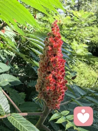 不论此刻你正在经历什么，
都请记得，今天就是你最好的一天。
生活的目标是健康和快乐
把每一天都过好，才是最重要的事。配图