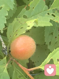 随着时光流转，我们渐渐懂得，取悦自己才是生活的终极意义。不再盲目追寻外界的认可，不再因他人的目光而左右自己的情绪。学会悦己，才能在漫长岁月里，绽放出独属于自己的光芒 ，拥抱属于自己的生活