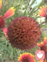 随着时光流转，我们渐渐懂得，取悦自己才是生活的终极意义。不再盲目追寻外界的认可，不再因他人的目光而左右自己的情绪。学会悦己，才能在漫长岁月里，绽放出独属于自己的光芒 ，拥抱属于自己的生活