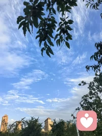 人生很多事情都急不来。有些成长需要慢慢积累，有些结果需要耐心等待。就像种下一颗种子，不会第二天就长成大树。所以在静待花开的日子里不妨抬头望望蓝色的天空，看看流动的云彩，低头赏赏盛开的花朵，吹吹凉爽的微风，感受下自己的心情被这美好的自然沁润着，打开心扉，迎接这一切美好。耀眼的阳光会驱逐烦恼和焦虑。