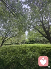 除了生老病死，你所感受到的痛苦，
都是你的价值观带来的，而非真实的存在，
万物都有缺口，那是阳光照过来的地方，
难过归难过，生活归生活，
关关难过关关过，事事难熬事事熬。