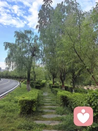 人活到往后才清楚，人与人比拼的，从来不是存款多少、地位高低，而是能不能管好自己的情绪，放平自己的心态