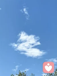 没有奇迹，只有你努力的痕迹，没有幸运，只有你坚持的勇气