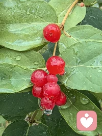 没有奇迹，只有你努力的痕迹，没有幸运，只有你坚持的勇气