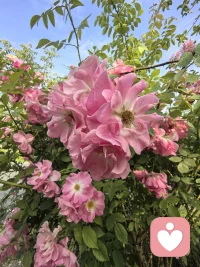觉得累的关系，就悄悄疏远吧，
不用愧疚，善待自己的情绪，从来都不是错。