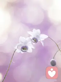 当外界的干扰减少，目光由外部转向自己，直面当下，你会慢慢看透内心的想法，没什么比懂得自己更重要。