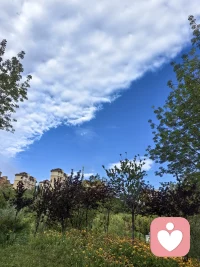 很多时候我们累，不是事情本身难，而是被别人的坏情绪牵着走。别人发脾气、甩脸色、制造矛盾，那是他的修为不够，不是我们的错。不跟着陷入情绪漩涡，不被对方的戾气消耗，守住自己的心境，就是守住了大半能量。配图