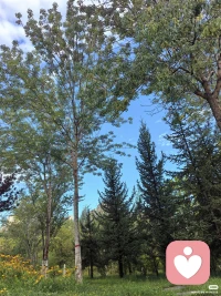 不要太敏感，不要总跟自己较劲，不要给自己施加太大的压力，不要让情绪打乱你的生活节奏。你可以短时间的不开心，但别长时间的不清醒。配图