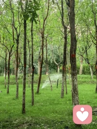 情绪就像一阵风，
要允许它来，也要放它离开。
允许情绪自由，允许万物穿过，
它只是偶然路过我们心情的过客，
途经了我们的生命。配图