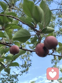 人生这一场旅程没有标准答案，也没有既定剧本，在你自己的人生故事里，你才是唯一的主角，你的感受最重要，你的快乐才是余生最该追求的目标。
愿你从此为自己而活，不讨好，不迁就，不内耗，好好爱自己，活成自己喜欢的样子，便是这一生最好的圆满。配图