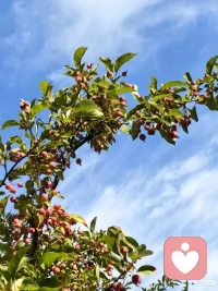 生活从不会一帆风顺，风雨坎坷皆是常态，低谷时不抱怨、不颓废，困境中不退缩、不放弃，跌倒了勇敢爬起，迷茫时慢慢沉淀，在琐碎的生活里积攒力量，在平凡的日子里温柔生长。
