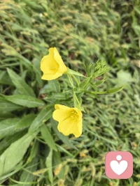 让别人快乐是一种实力，让自己快乐是一种能力。人生最重要的就是快乐，不是因为年轻才快乐，而是因为快乐才年轻。每天给自己一个开心的理由，花开花落都开心，日出日落都快乐，快乐是治愈一切的良药 。