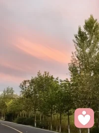 让别人快乐是一种实力，让自己快乐是一种能力。人生最重要的就是快乐，不是因为年轻才快乐，而是因为快乐才年轻。每天给自己一个开心的理由，花开花落都开心，日出日落都快乐，快乐是治愈一切的良药 。