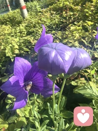 不必畏惧既定的过往，不必认命当下的窘迫，人生最大的幸运，就是我们永远拥有改变自己的权利。