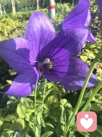 不必畏惧既定的过往，不必认命当下的窘迫，人生最大的幸运，就是我们永远拥有改变自己的权利。