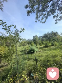 情绪就是最好的风水，你越来越快乐，能量会越来越高， 你的运气就会越来越好。