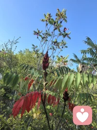 明天不用赢过谁，只要比今天的自己更从容一点，就够了