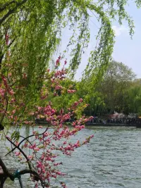 《内在觉醒1》
一个人真正的内在觉醒之后，是绝对不会再过分执着的，那个时候他对待任何关系把握的核心是我以真心待你，但是我不执着于你，真正的做到活在缘分里，而不是活在关系里。我对你好，仅仅只是我想对你好，和你对不对我好没有关系。同理，有一天我不想对你好了，我也可以转身离开。那一刻和你是什么关系，你对不对我好也没关系。所以说，对于任何痛苦的经历想要尽快释怀，我们唯一要做的方式不是忘记，不是强迫自己放下，而是接纳，全然的接纳。接纳我的局限，接纳我不被爱的事实，坦诚我之前的贪嗔痴，我就是有这样的一个嫉妒心，我就是有我的傲慢心，虚荣心，大大方方的去承认我自己就是不够完美，那又怎样？真正的释怀，是坦然的接纳，从此以后不会再多说一句多余的话。一杯水，你渴的时候它贵如黄金，你不渴的时候它就寡淡无味。一束阳光，你冷的时候它温暖无比，你热的时候它燥热可恶。世间万物本没有对错，都在一念之间，一念天堂，一念地域。
