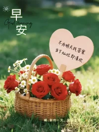 愛生活愛自己，生活才有小驚喜?。?

做個心大的人，讓煩惱靠邊~

眼里有光，處處都是好風光??

愿歲月溫柔，時光不慌??

愿你的周日滿是輕松與歡暢，?

早呀??配圖