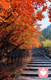 人生三大幸事：被惦記、被理解、被偏愛！配圖