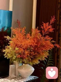 放下才能成熟

一个人的成熟
并不是获得了多少成就
而是面对厌恶的人和事
不迎合也不抵触
只是淡然一笑
希望别人好
别人未必好
但你肯定会好
因为你内心美好
见不得别人好
别人未必不好
但你肯定不好
因为你内心没有美好
与人为善
福虽未至
祸已远离
与人为恶
祸虽未至
福已远离
原谅是最慈悲的救赎
放下他人的错
解脱自己的心
走不出自己的执念
到哪都是囚徒