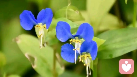 缺爱的人，小心把婚姻变成牢笼