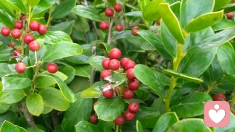 婚姻合伙人,这种思维模式怎么样