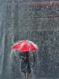 雨落聲聲，恰如人生
如你深陷雨中，就努力做好自己的避風港。配圖