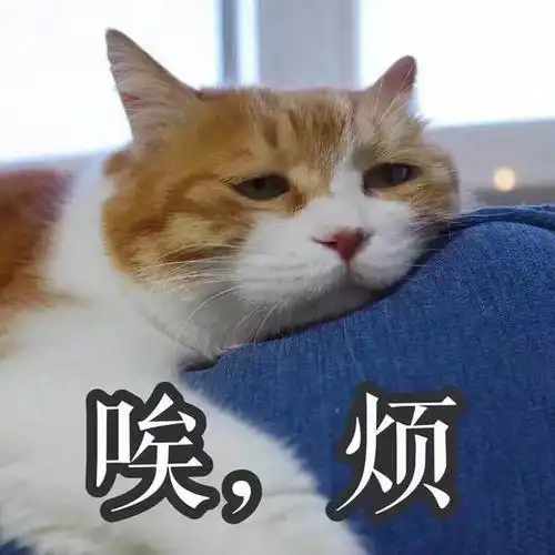 不归的回答图片