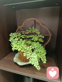 渐渐明白，成年人最好的自愈方式，是不断做减法。

        不必和不重要的人频繁往来，遇到刻意的排挤，远离胜过争执。

       学会不回应流言，不费力辩解，不迫切向任何人证明自己。

       收回四处分散的情绪，不再好奇别人的生活，不掺和是非，不介入他人的因果。

        众生各有归途，守好本心，专注前路，安静做好自己。