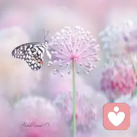 跟我讲她也在上班，模仿大人上班节奏😅，找到了属于她的生活方式。13岁抑郁休学如折翼的天使堕入黑暗，到目前眼里有光，生活充满信心和希望，四年的陪伴不抛弃不放弃。我们摒弃世俗选择了自己的路，相对于分数和名誉，我更看重的是身心健康，正确的三观，拥有快乐幸福能力，生存的能力，欣慰！成长成熟了很多，一切都是值得的，未来可期🫶
