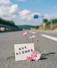 去成為自己的光吧
照亮自己配圖
